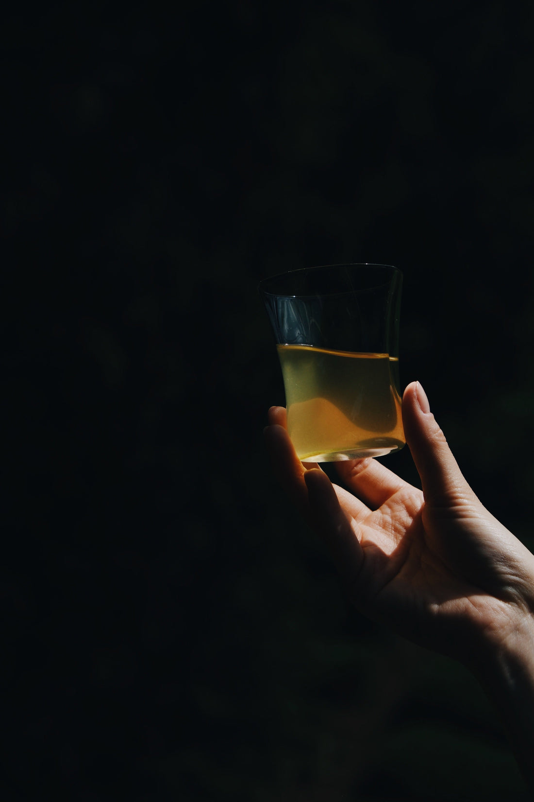 夏の終わりに、有機水出し玉露