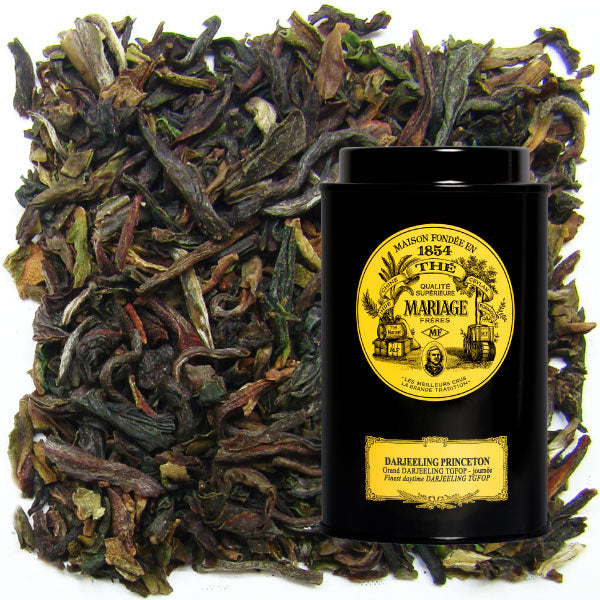 MARAGE FRÈRES DARJEELING PRINCETON / ダージリン プリンストン