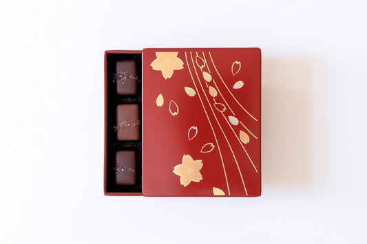 【漆BOX】ソルトキャラメルアソートメント9個入