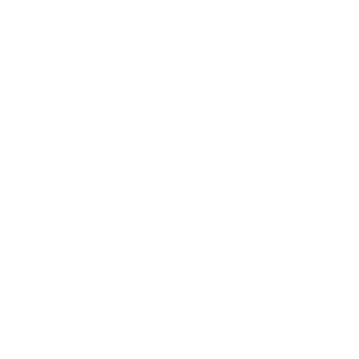 FRAN'S CHOCOLATES