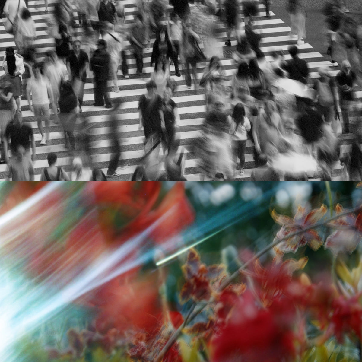 athletia オードパルファン LOST IN THE CROWD ②
