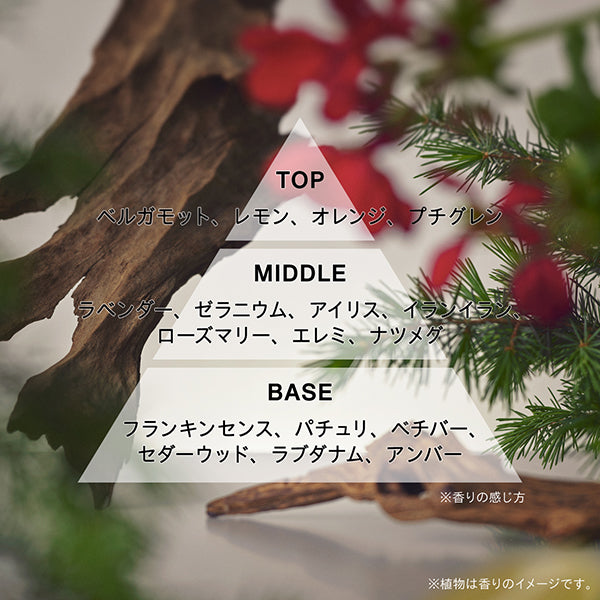 athletia オードパルファン LOST IN THE CROWD ③