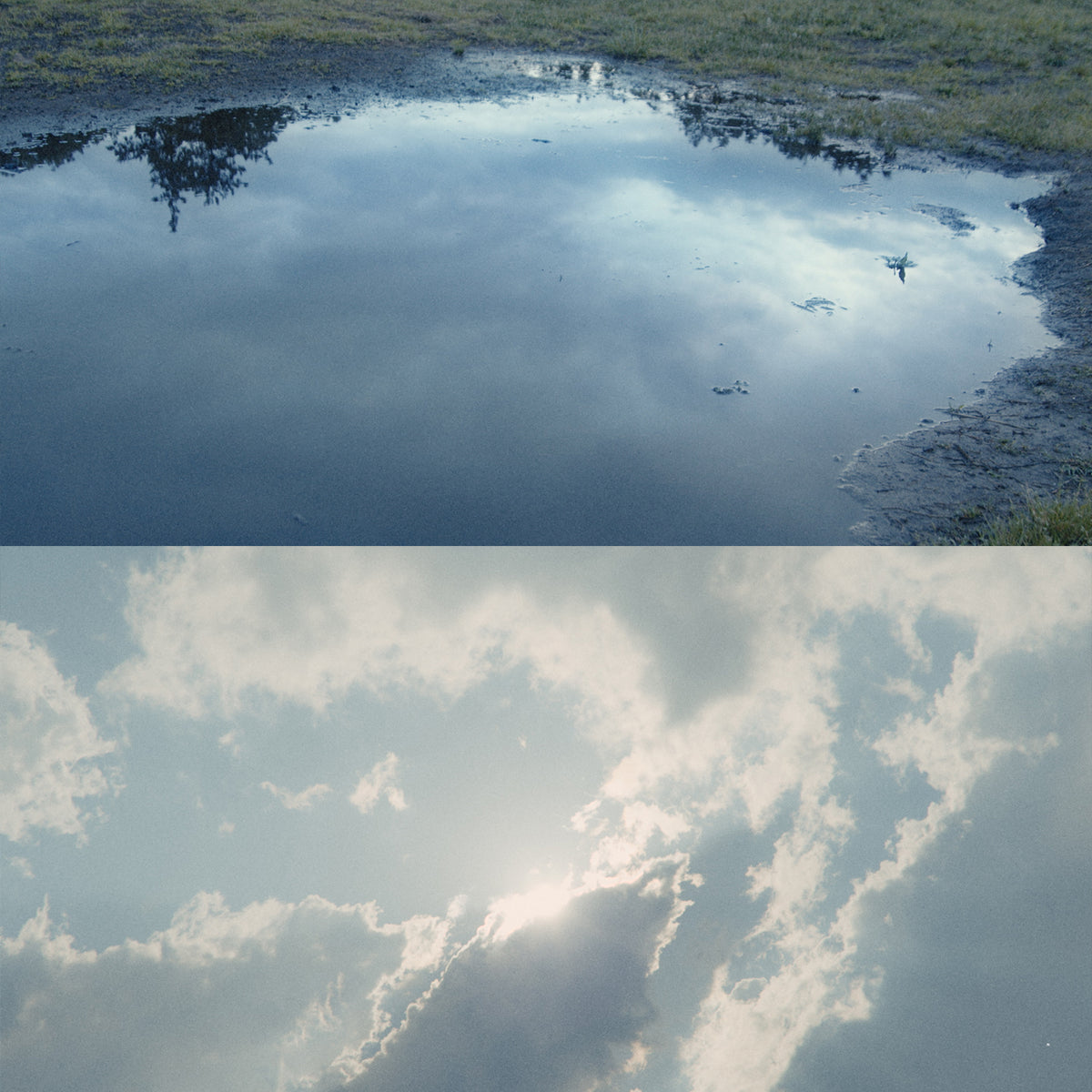 athletia オードパルファン UNTIL THE CLOUDS CLEAR ②