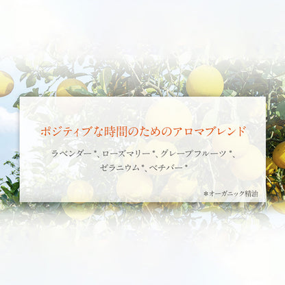 NEAL'S YARD REMEDIES アロマパルス パワー